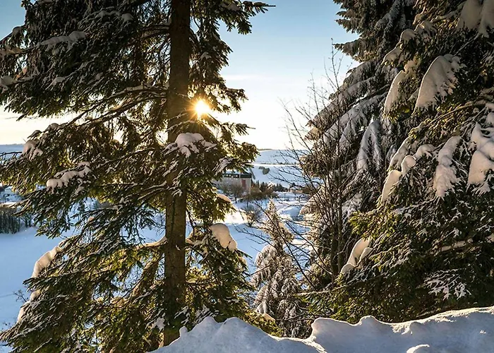 Gasthof Und Gaststätte Naturbaude Eschenhof 3*